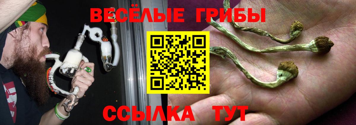 Псилоцибиновые грибы GOLDEN TEACHER  Вход с VPN  Галлюциногенные грибы Magic Shrooms  Гусь-Хрустальный 